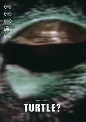 Turtle? Poster